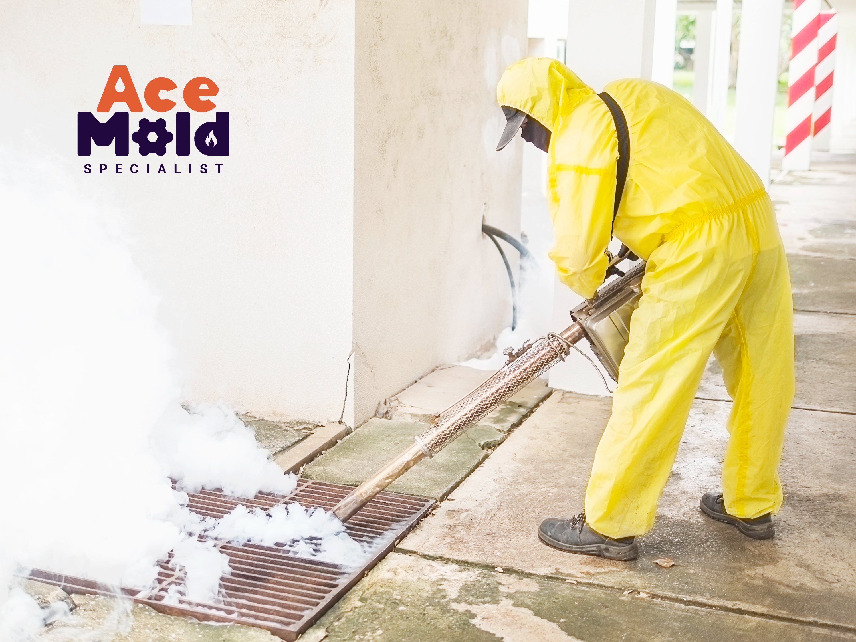 How Mold Removal Can Increase Property Value in Brooklyn